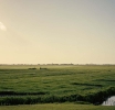 Discover the Friesland exelente landscape of German Dutch Camper hotspots