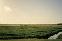Ostfriesland Landschaft